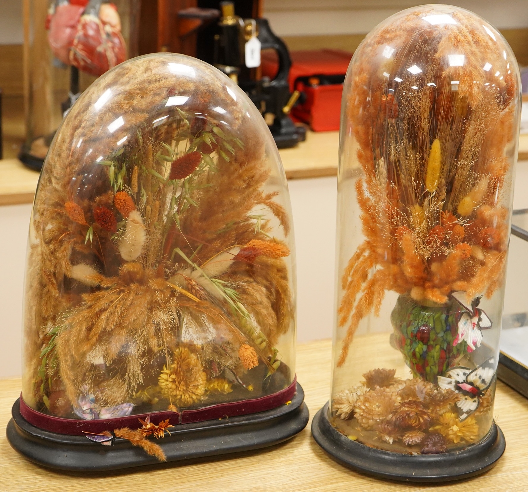 Two Victorian fauna displays under domes with ebonised bases, containing dried grasses and flowerheads, together with fabric butterflies, tallest 46cm, both af